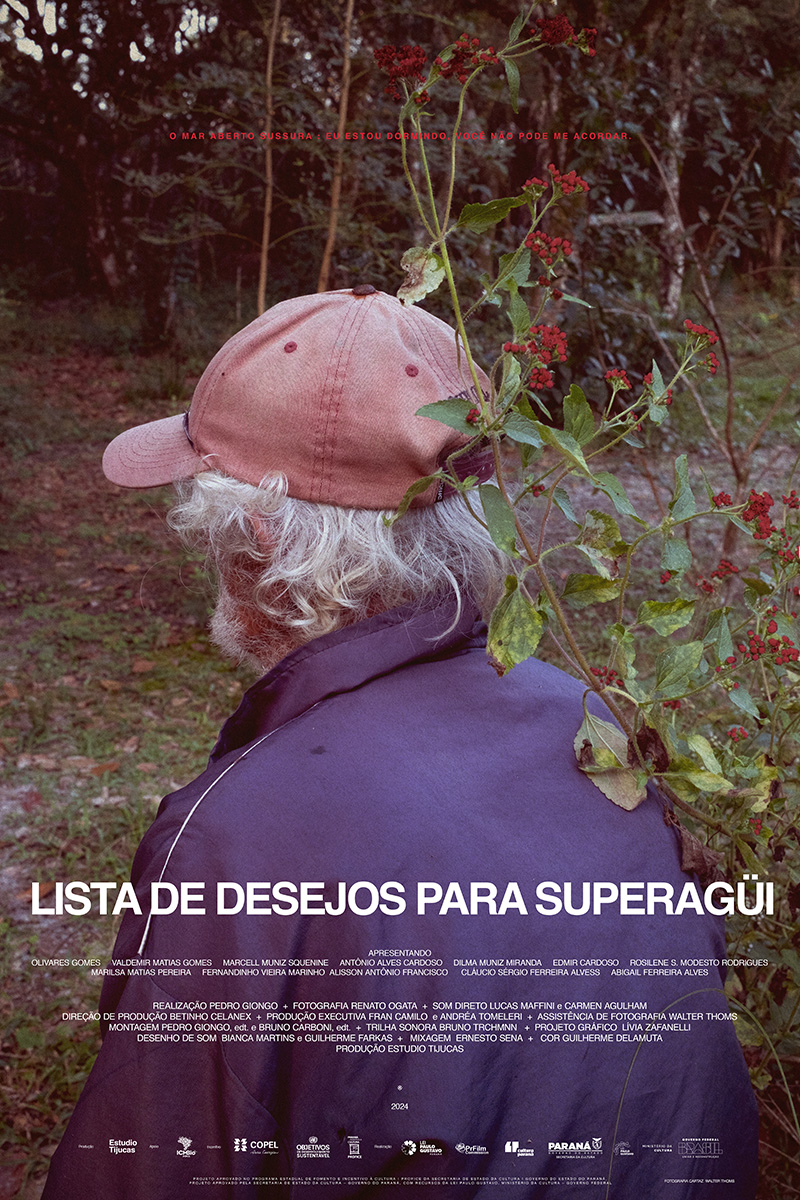Lista de desejos para Superagüi — Cartaz